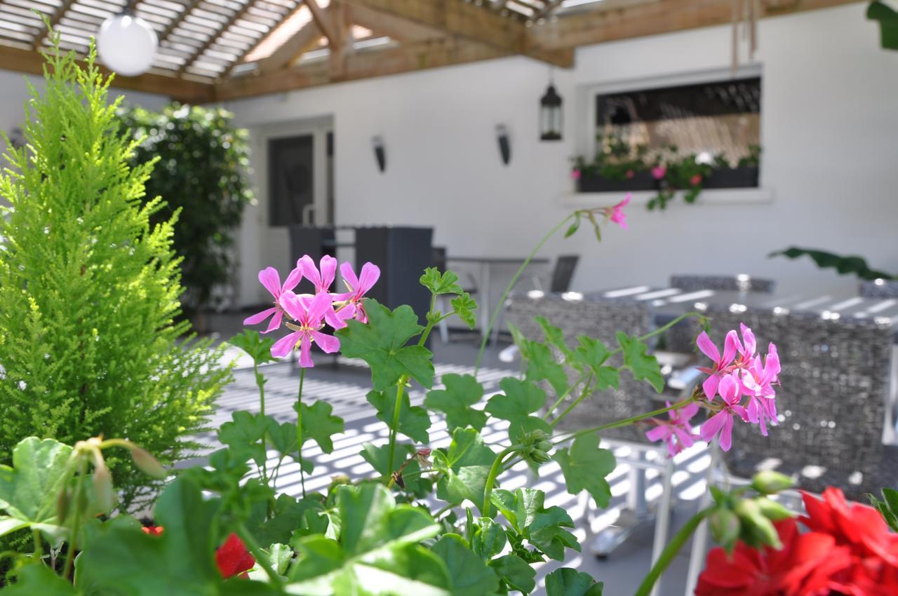 La Maison Du Lac Thionne 外观 照片